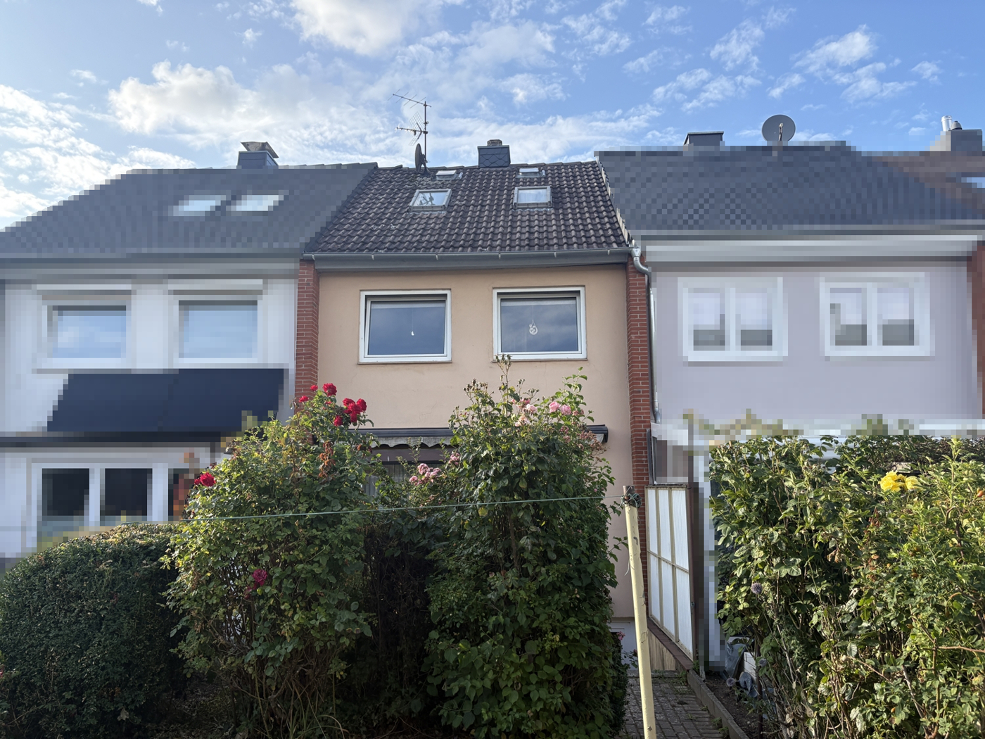 Rückseite_v