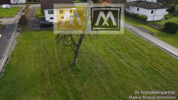 DJI_0503
