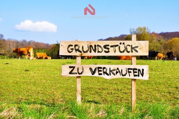 grundstueck-kaufen