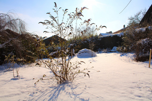 Grundstück im Winter