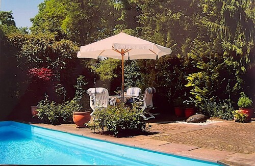 Garten im Sommer
