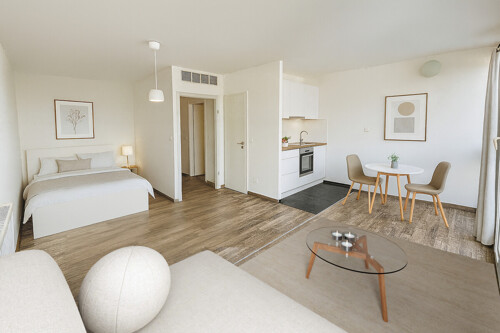 Wohn- und Schlafzimmer - Einrichtungsbeispiel