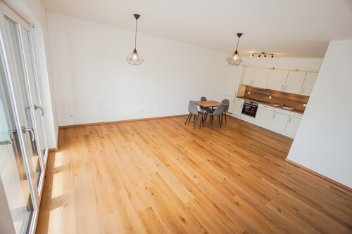 Wohnbereich mit Einbauküche