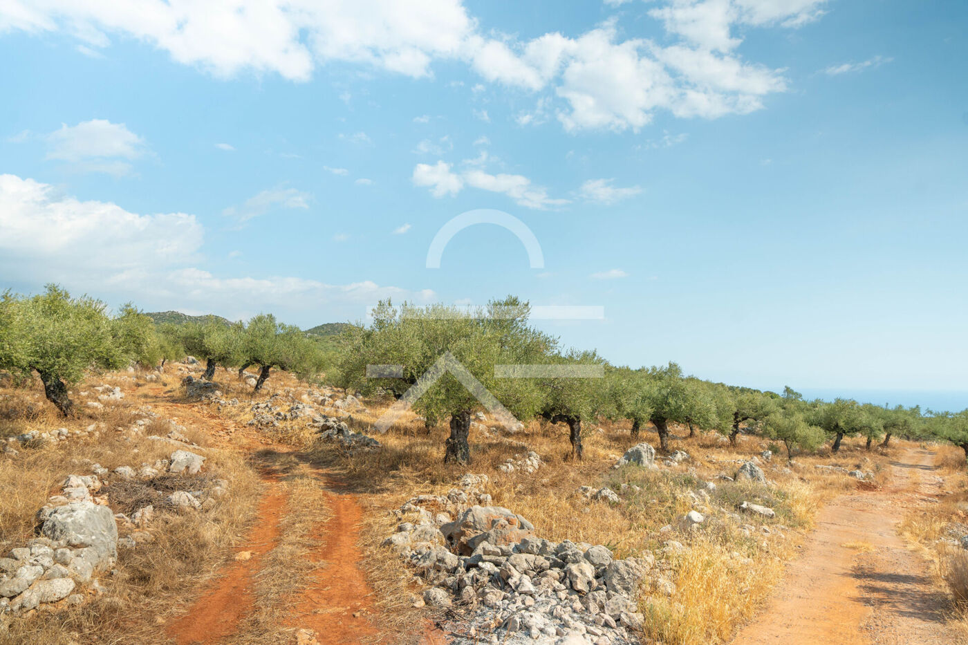 Plot_Paradise Hill--11
