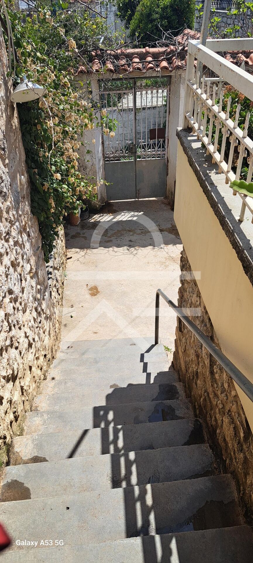 Back steps