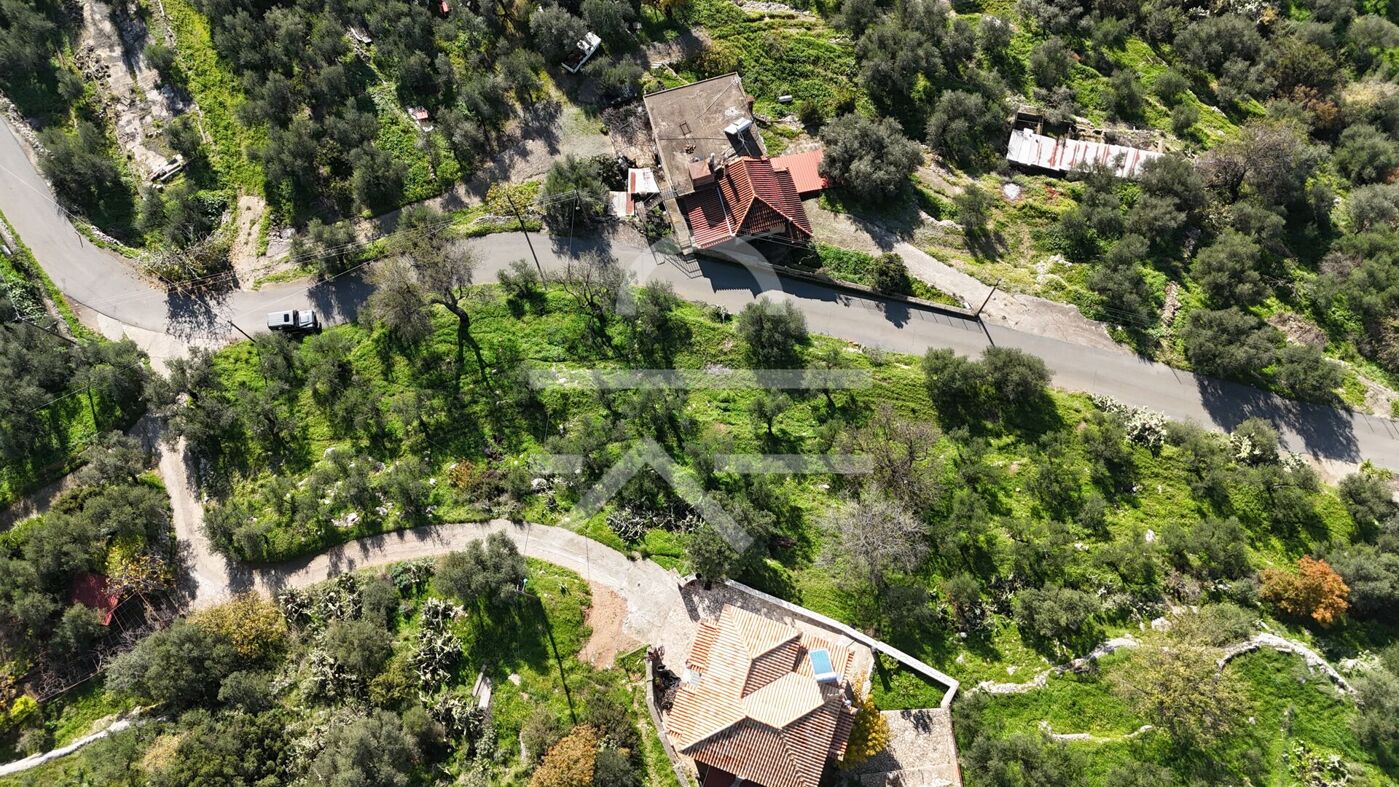 DJI_20251223121330_0050_D