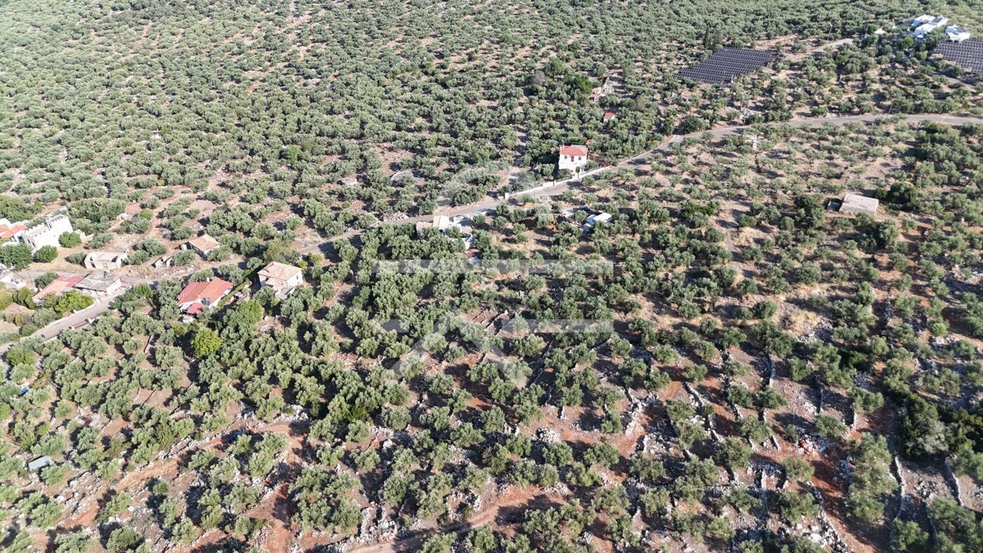 DJI_20260825083544_0158_D