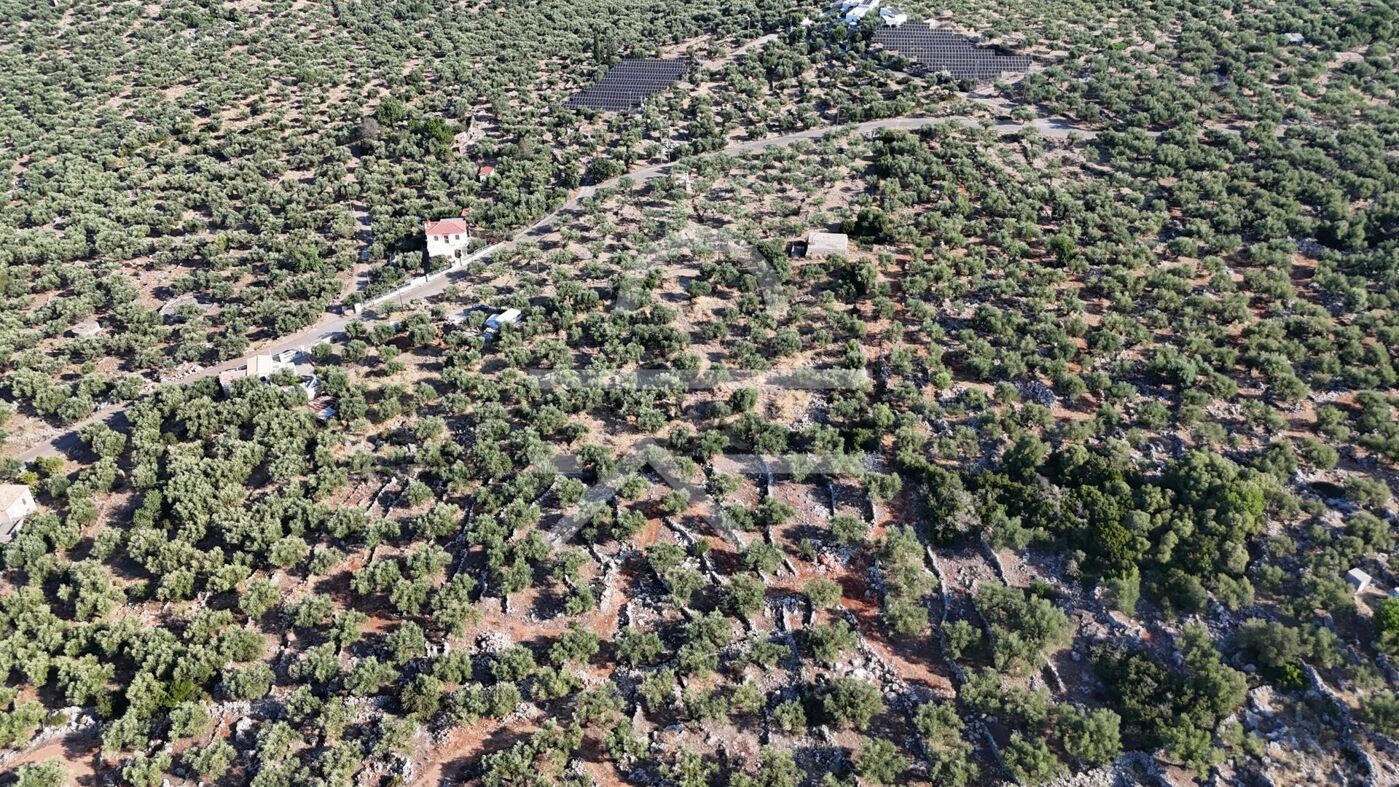 DJI_20260825083547_0159_D