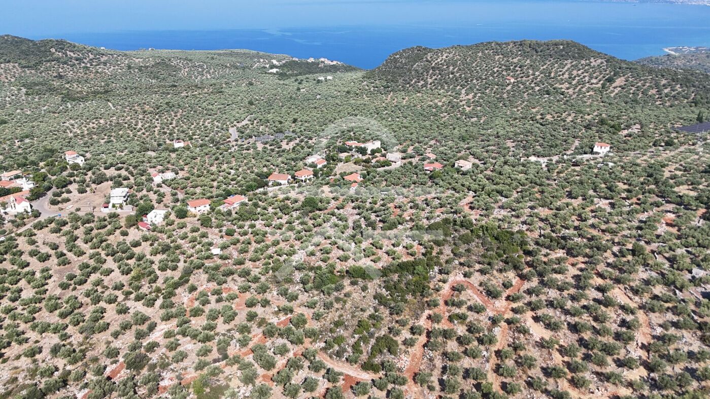 DJI_20260825093104_0178_D