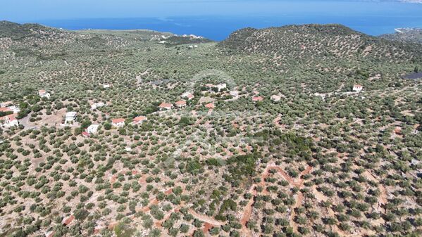 DJI_20260825093104_0178_D