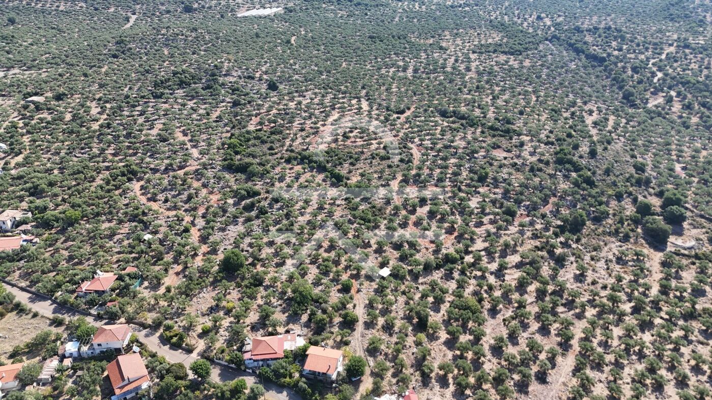 DJI_20260825093221_0181_D