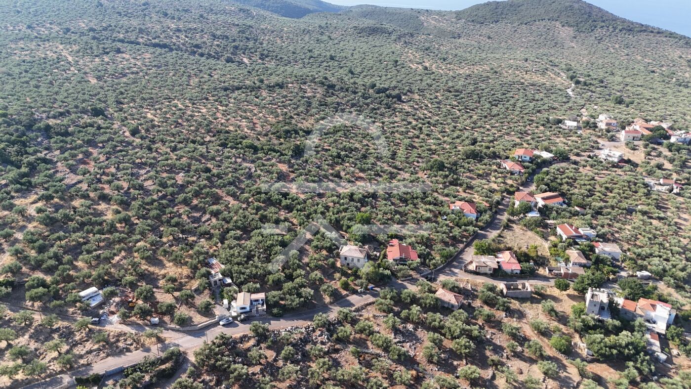 DJI_20260825083154_0147_D