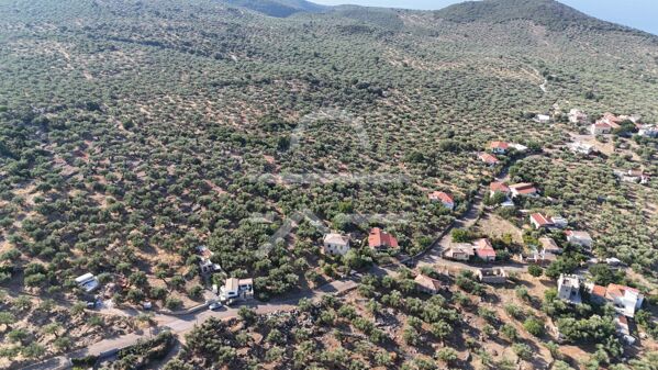 DJI_20260825083154_0147_D
