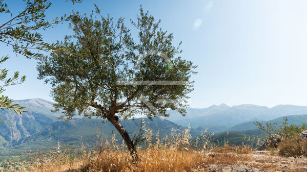 Plot_Malta_4,500m2-09