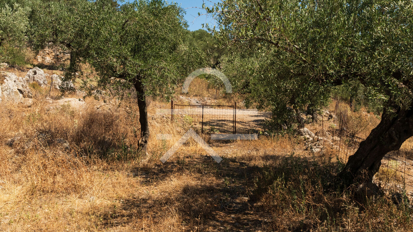 Plot_Malta_4,500m2-05
