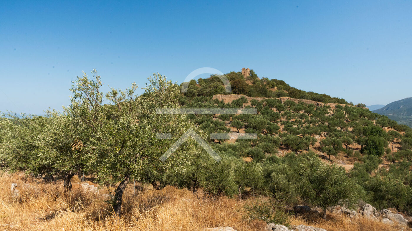 Plot_Malta_4,500m2-02
