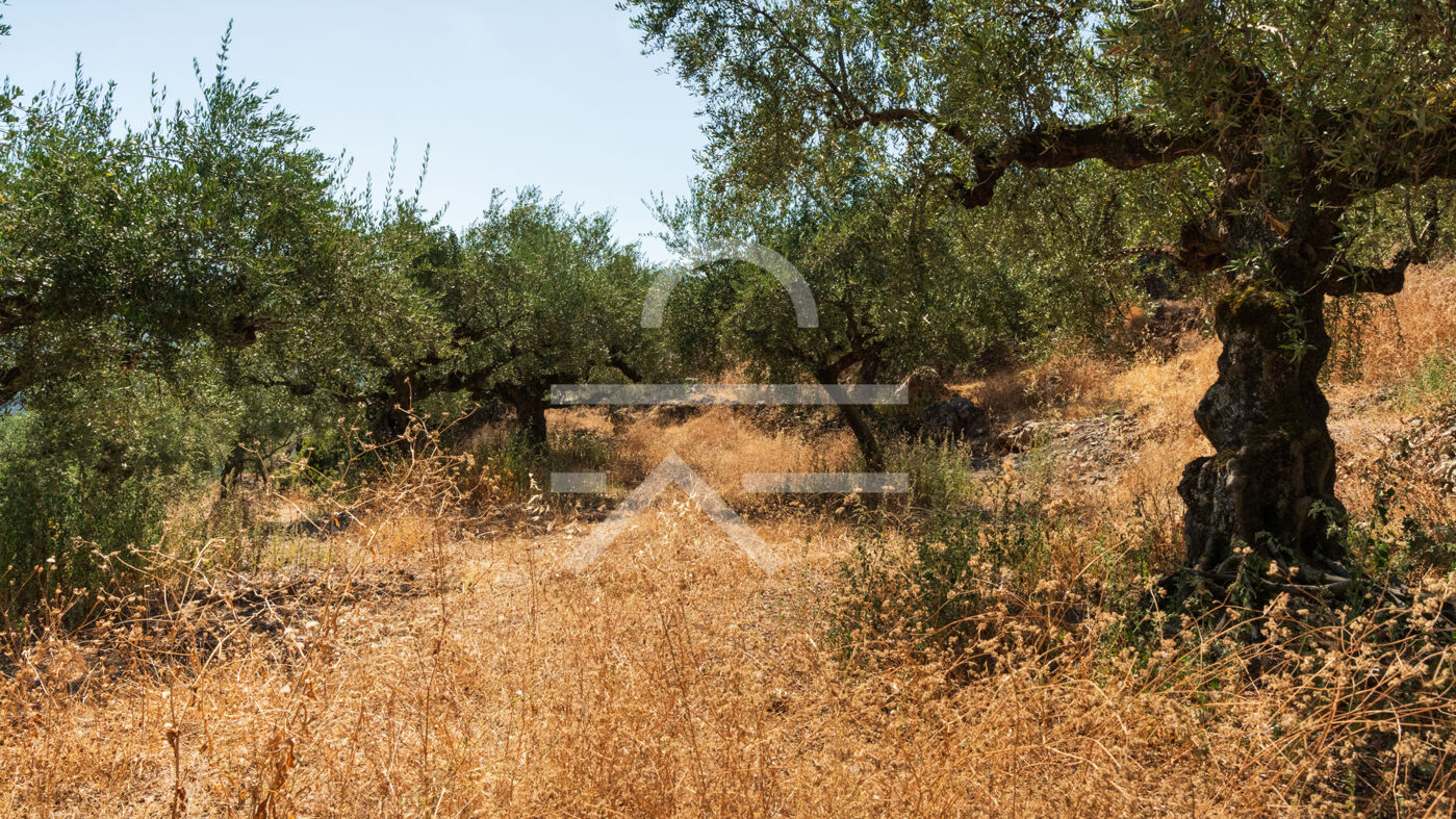 Plot_Malta_4,500m2-06