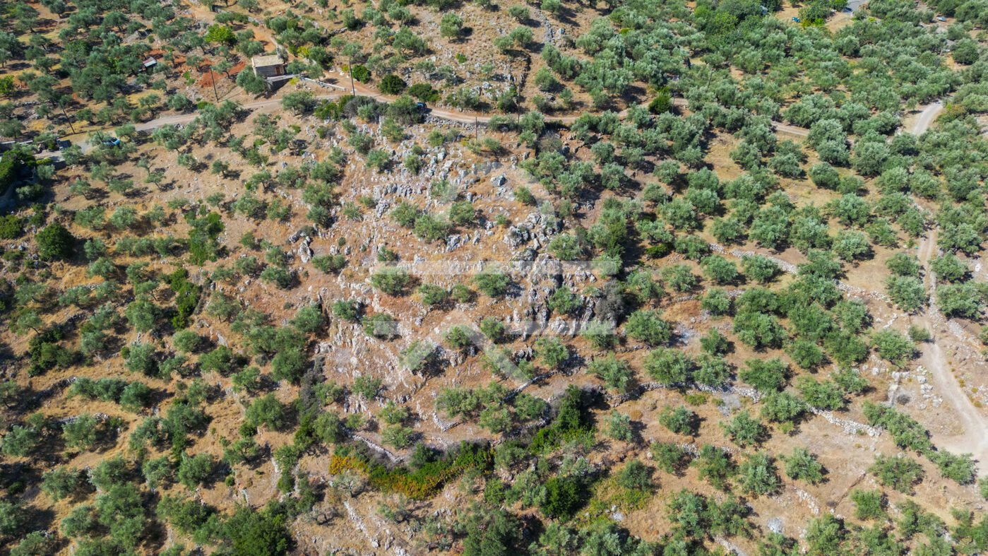 Plot_Malta_4,500m2-13