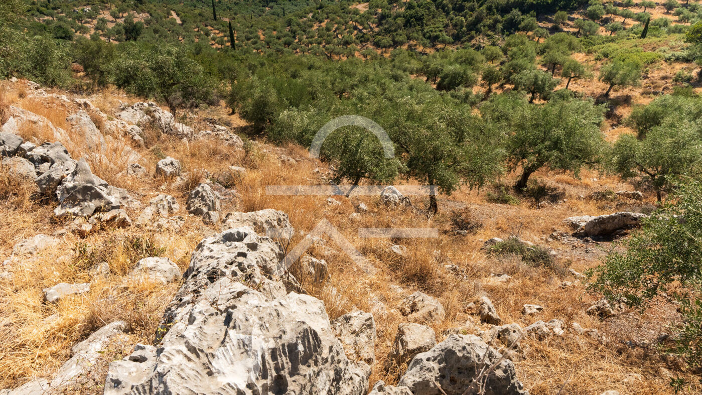 Plot_Malta_4,500m2-04