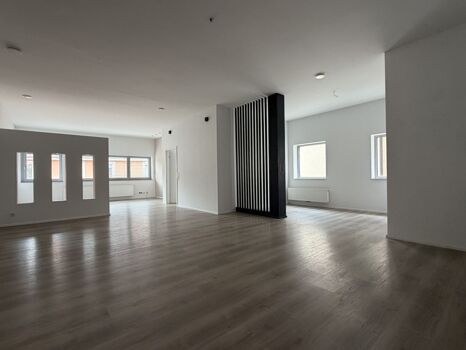 großzügige Loft
