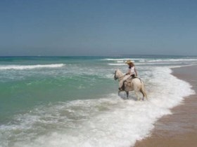 Reiten am Strand (2)