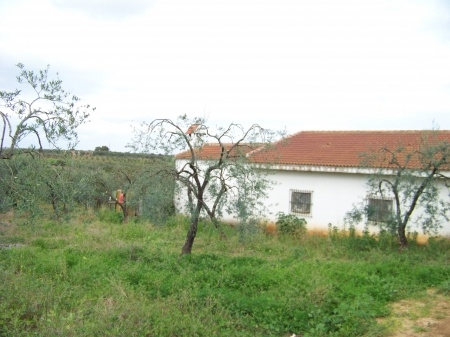 Finca Abuelo 028