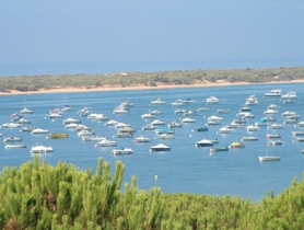 Cartaya-Playas de El Rompido, Nuevo Portil