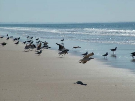 Naturstrand Strand