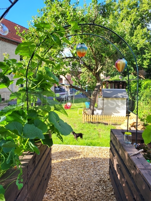 Garten im Sommer