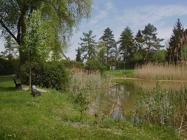 Grünbereich hinterm Haus