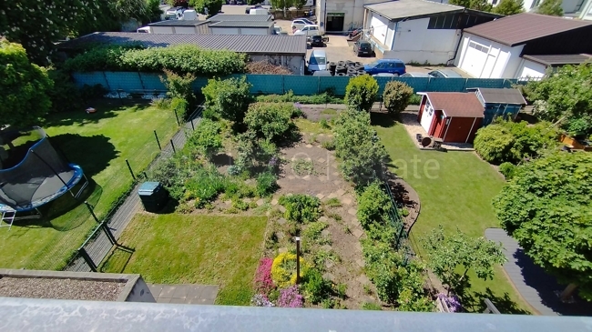 Blick in den Garten 