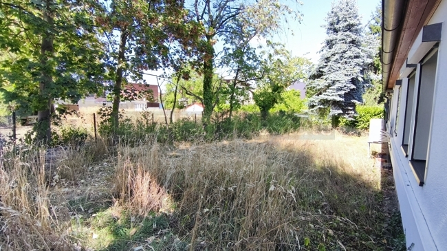 Ansicht Garten von links