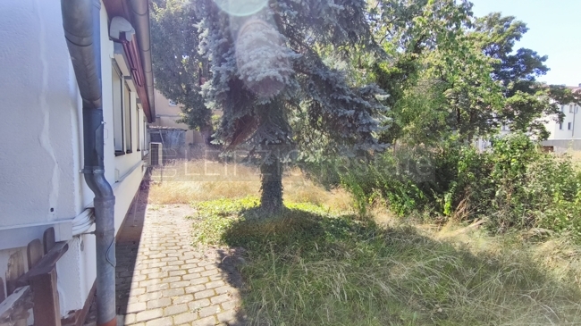 Ansicht Garten von rechts