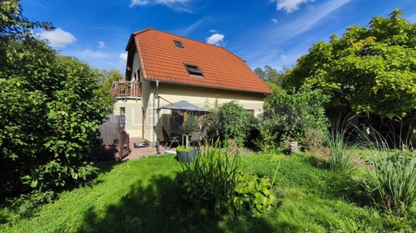 Gartenansicht mit kleinem Teich