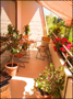 2. Balkon