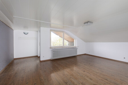 Zimmer DG