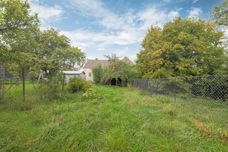 Rückansicht und Garten