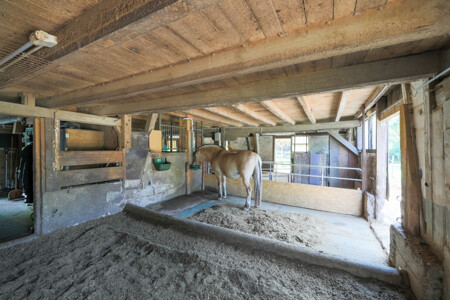 Innenansicht Hausstall
