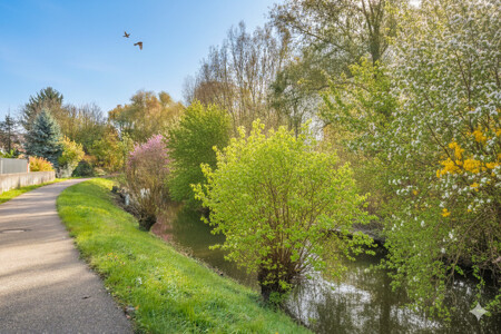 Alb-Spazierweg im Frühling (KI)