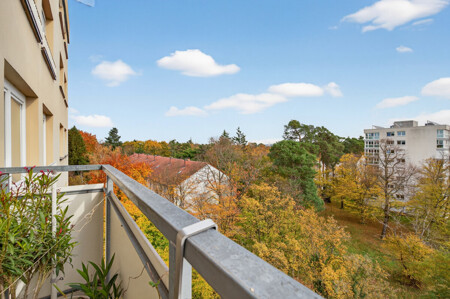 Blick über die Baumwipfel