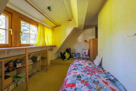 Zimmer DG