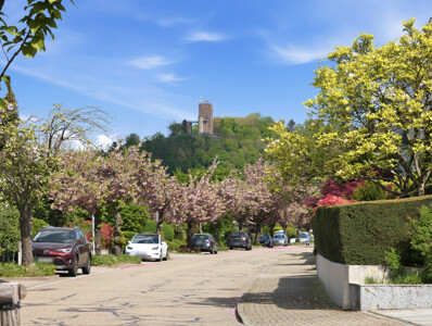 Turmberg