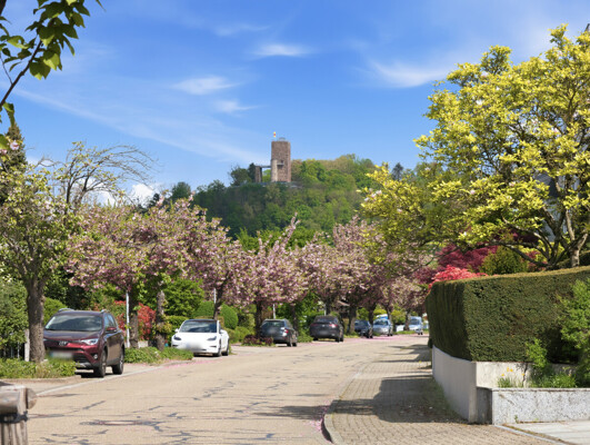 Turmberg