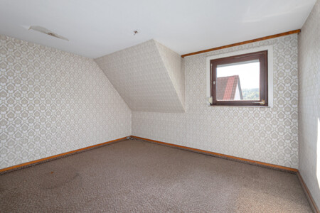 Zimmer DG