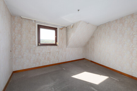 Zimmer DG