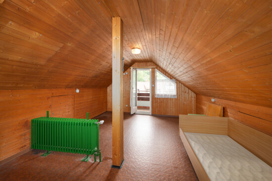 Zimmer DG