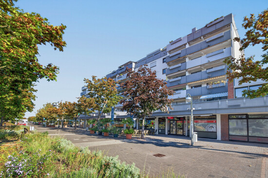 Seitenansicht