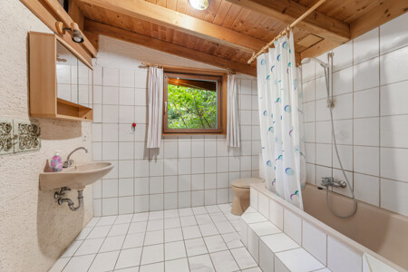 Badezimmer Anbau