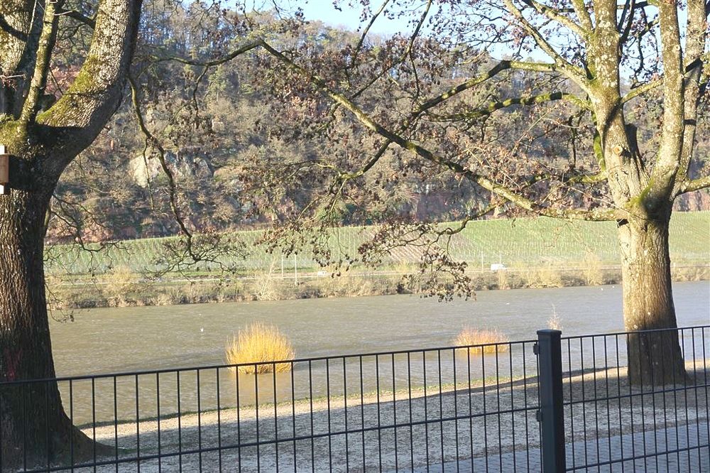 Trier: Wohnung in attraktiver Mosellage mit Einbauküche und großer Terrasse mit toller Aussicht. - Photo 4