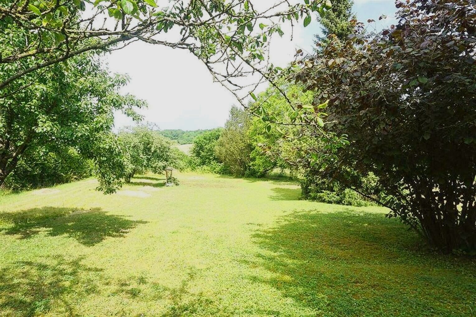Familienfreundliches Haus mit schönem Garten und Stellplätzen in ruhiger Lage - Foto 1